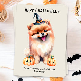 Pommern Hund Happy halloween Julkort