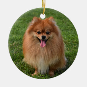 Pommern-Hund i Fluffy Pommern Julgransprydnad Keramik