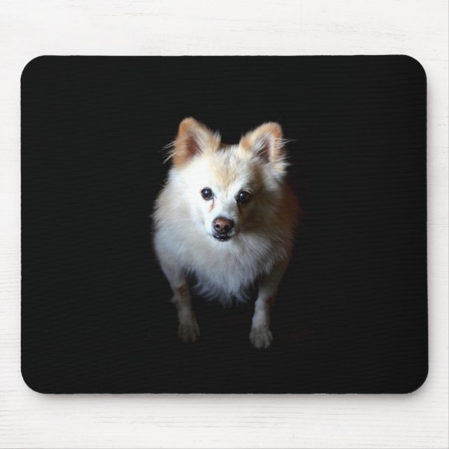 Pommern-Hund i Mörk Mousepad Musmatta (Framsidan)