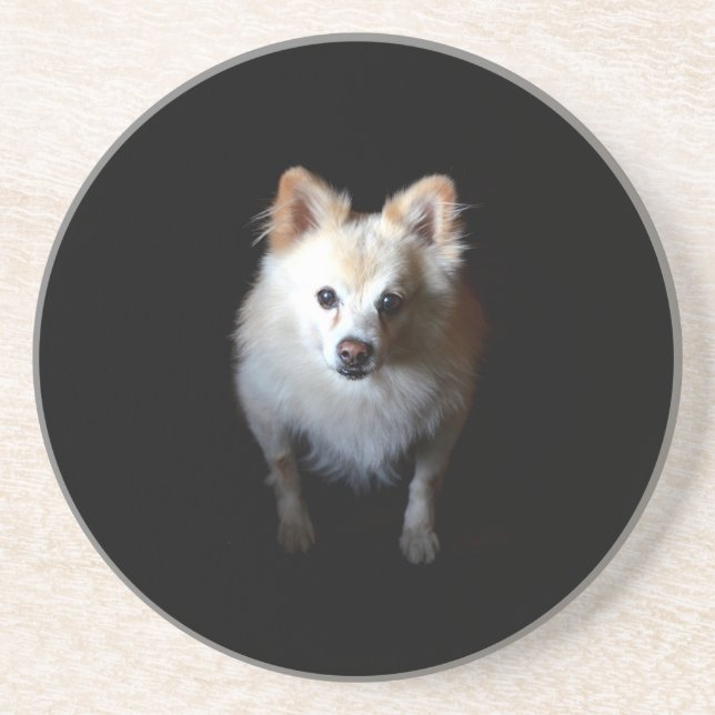 Pommern-Hund i Mörk Underlägg (Framsidan)