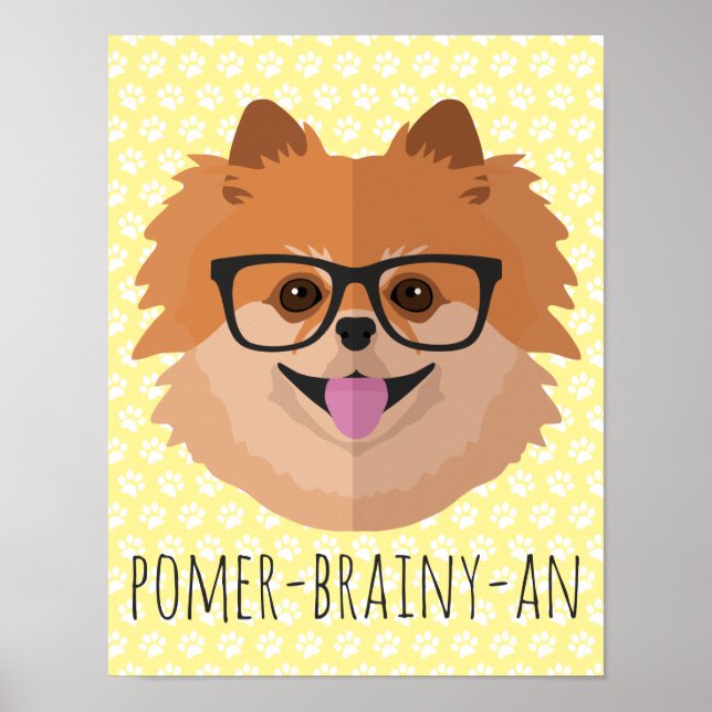 Pommern-Hund i NERD-glasen | POMER-BRAINY-AN Poster (Framsidan)