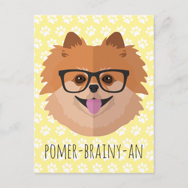 Pommern-Hund i NERD-glasen | POMER-BRAINY-AN Vykort (Framsida)
