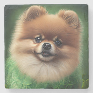 Pommern Hund i St. Patrick Dress Stenunderlägg
