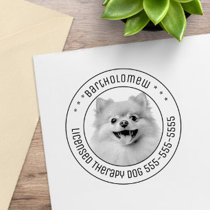 Pommern Hund Pet Photo Round Stämpel