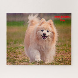 Pommern Hund. Pussel