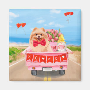 Pommern Hund Valentindagen Lastbil Hearts Magnet