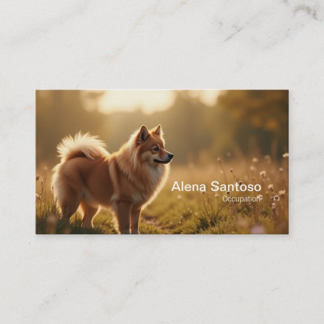 Pommern Hund Visitkort (Framsida)