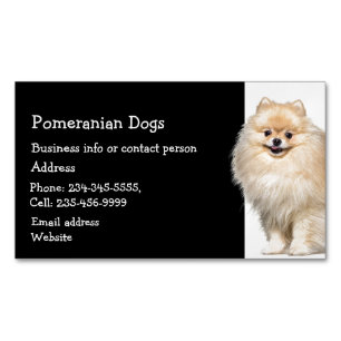 Pommern Hundar Breeder Pet Sitter Magnetiska Visitkort