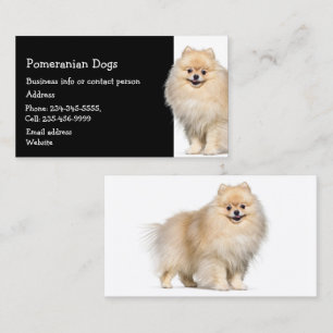 Pommern Hundar Breeder Pet Sitter Visitkort
