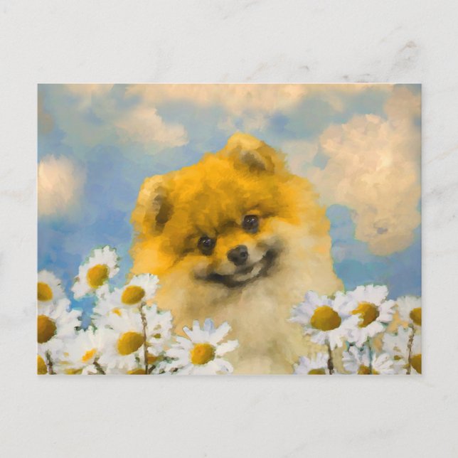 Pommern i Daisy - Original Hund Art Vykort (Framsida)
