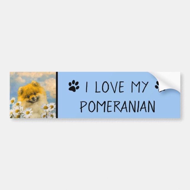 Pommern i Daisy Painting - Original Hund Art Bildekal (Framsidan)