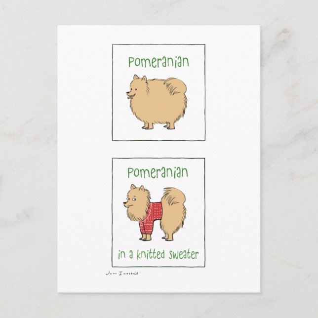 Pommern i en Knitted Sweater Vykort (Framsida)