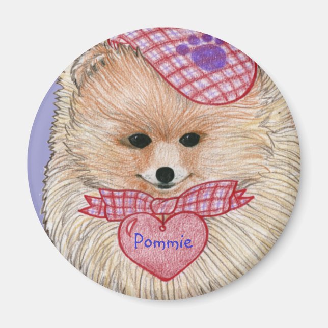 Pommern Magnet (Framsidan)