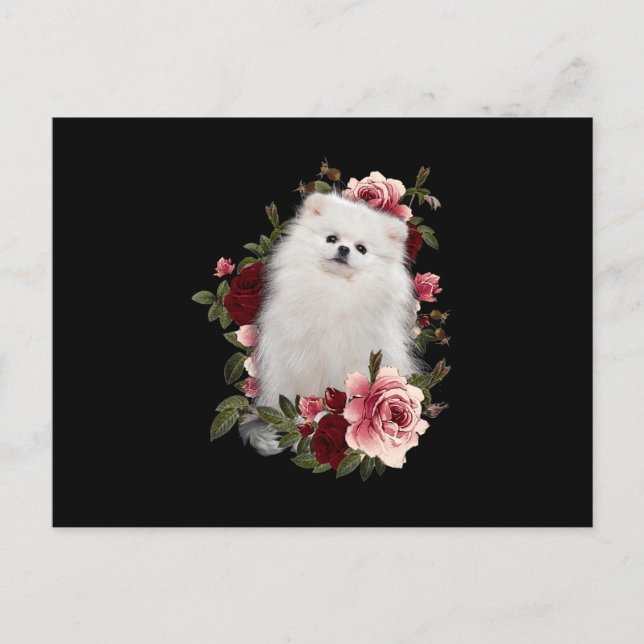 Pommern med blomma vykort (Framsida)