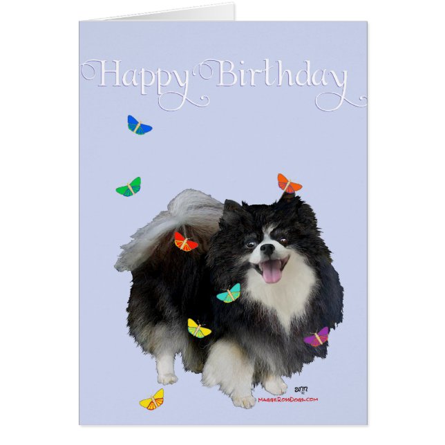 Pommern med Butterflies Hälsningskort (Framsidan)