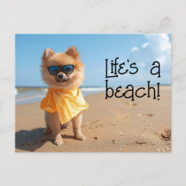 Pommern med solglasögon, vykort