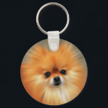 Pommern Nyckelring<br><div class="desc">Pommern är en ras av hund i spitz-familjen, som är uppkallad för Pommern-området i Centraleuropa, som i dag är en del av norra Polen och en del av den moderna östran Tyskland, och som klassas som leksak hund aveln på grund av sin lilla storlek. Enligt FCI är Pommern en del...</div>