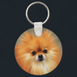 Pommern Nyckelring<br><div class="desc">Pommern är en ras av hund i spitz-familjen, som är uppkallad för Pommern-området i Centraleuropa, som i dag är en del av norra Polen och en del av den moderna östran Tyskland, och som klassas som leksak hund aveln på grund av sin lilla storlek. Enligt FCI är Pommern en del...</div>