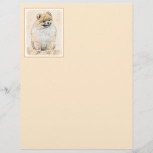 Pommern (Orange) - Original Hund Art