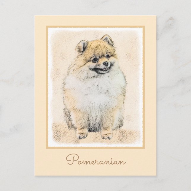 Pommern (Orange) - Original Hund Art Vykort (Framsida)