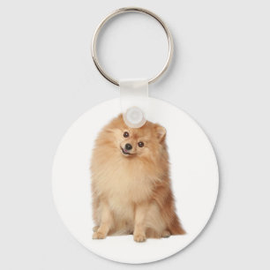 Pommern Pom Puppy Hund Keychain Nyckelring