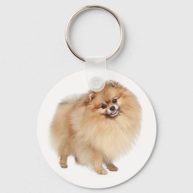 Pommern Pom Puppy Hund Keychain Nyckelring (Framsida)
