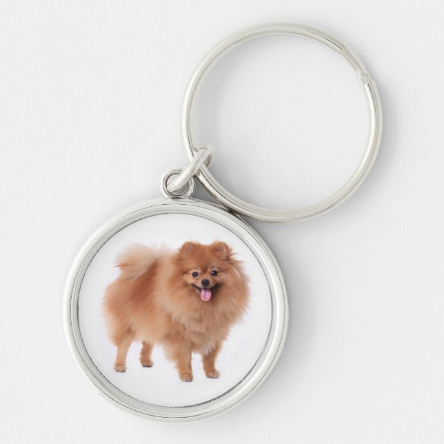 Pommern Pom Puppy Hund Keychain Rund Silverfärgad Nyckelring (Framsidan)
