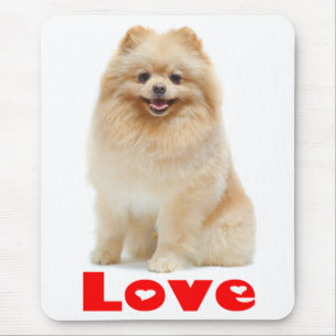 Pommern Pom Puppy Hund Mousepad, Kärlek Musmatta