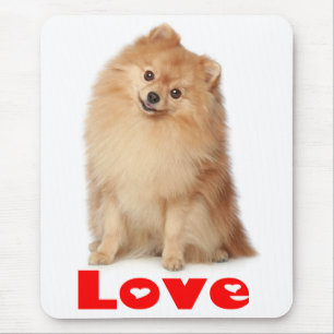 Pommern Pom Puppy Hund Mousepad, Kärlek Musmatta