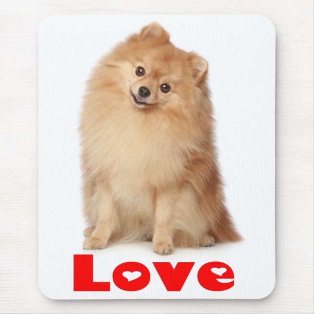 Pommern Pom Puppy Hund Mousepad, Kärlek Musmatta (Framsidan)