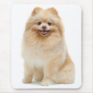 Pommern Puppy Hund Mousepad Musmatta