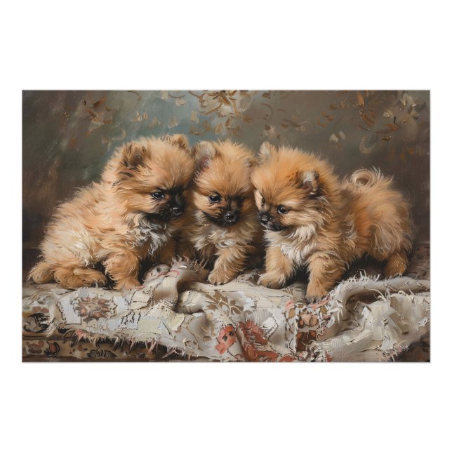 Pommern Puppy Trio-Vintagen Fototryck (Framsidan)