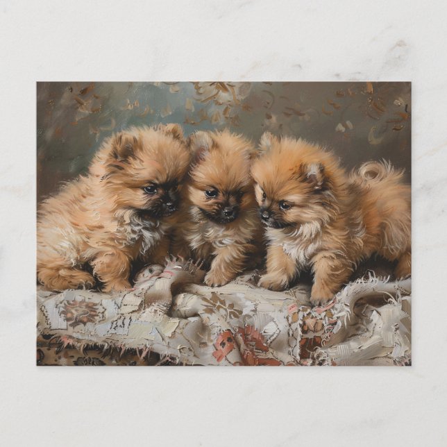 Pommern Puppy Trio-Vintagen Vykort (Framsida)