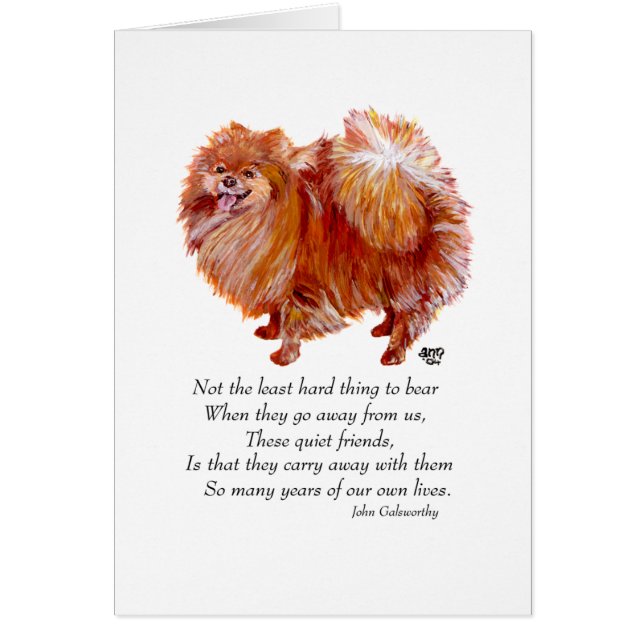 Pommern Rainbow Bridge Hälsningskort (Framsidan)