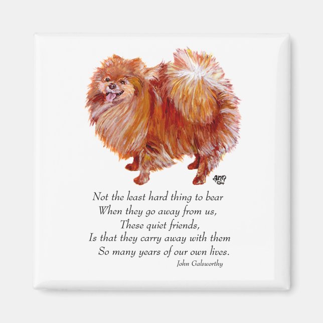 Pommern Rainbow Bridge Magnet (Framsidan)