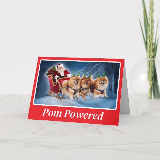 Pommern Reindeer Kort (Framsida)
