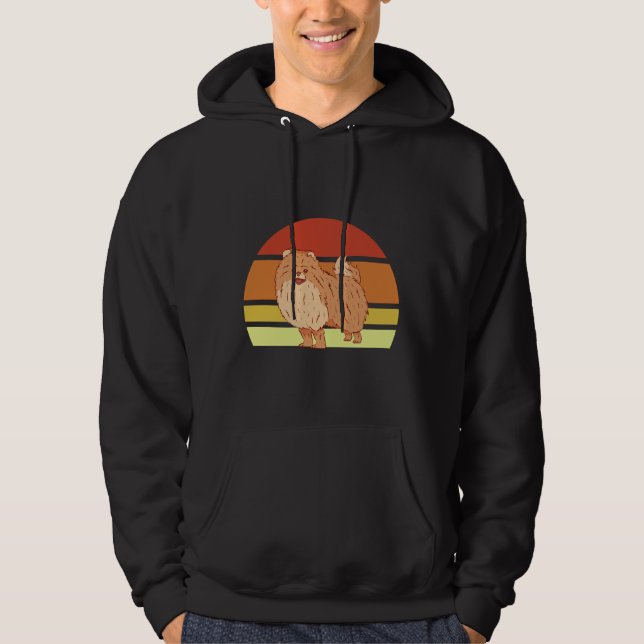 Pommern Retro Sol 6 Hoodie (Framsida)