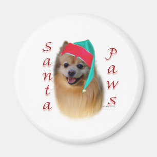 Pommern Santa Tassar Magnet