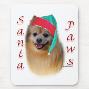 Pommern Santa Tassar Musmatta
