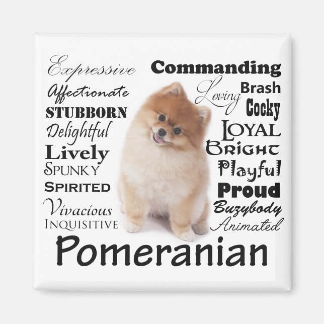Pommern Traits Magnet (Framsidan)