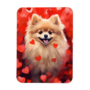 Pommern Valentines day Magnet