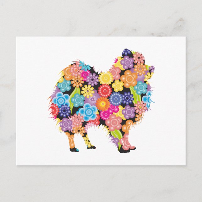 Pommern Vykort (Framsida)