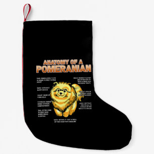Pommerns anatomi liten julstrumpa