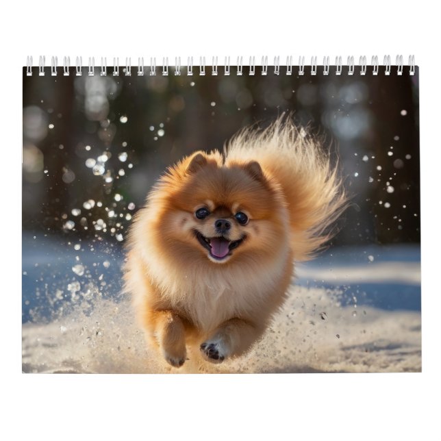 Pommerns kalender 2025 (Baksida)