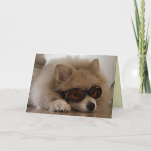 Pommerns Vänskap Card Kort