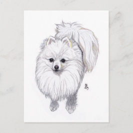 Pommerns vykort 2019