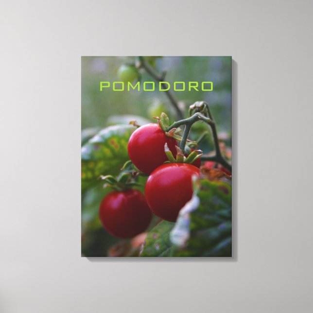 Pomodoro Italiano Tomato Macro Photo Wall Art Canvastryck (Framsida)