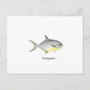 Pompano (titled) vykort