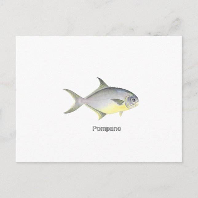 Pompano (titled) vykort (Framsida)