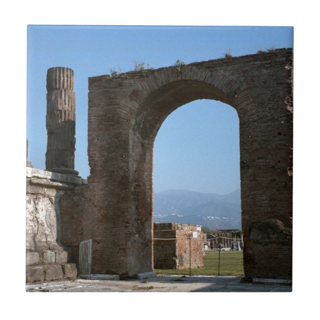 Pompeii archaeological plats kakelplatta (Framsidan)